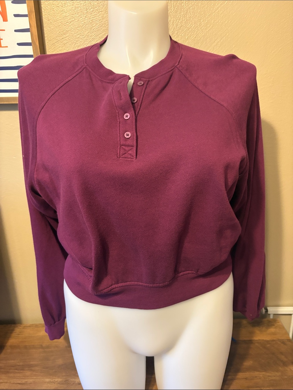 NWOT - Old Navy Plum Classic Length Pullover